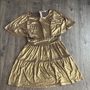 Metallic Gold A-line Dress with butterfly sleeves ✨